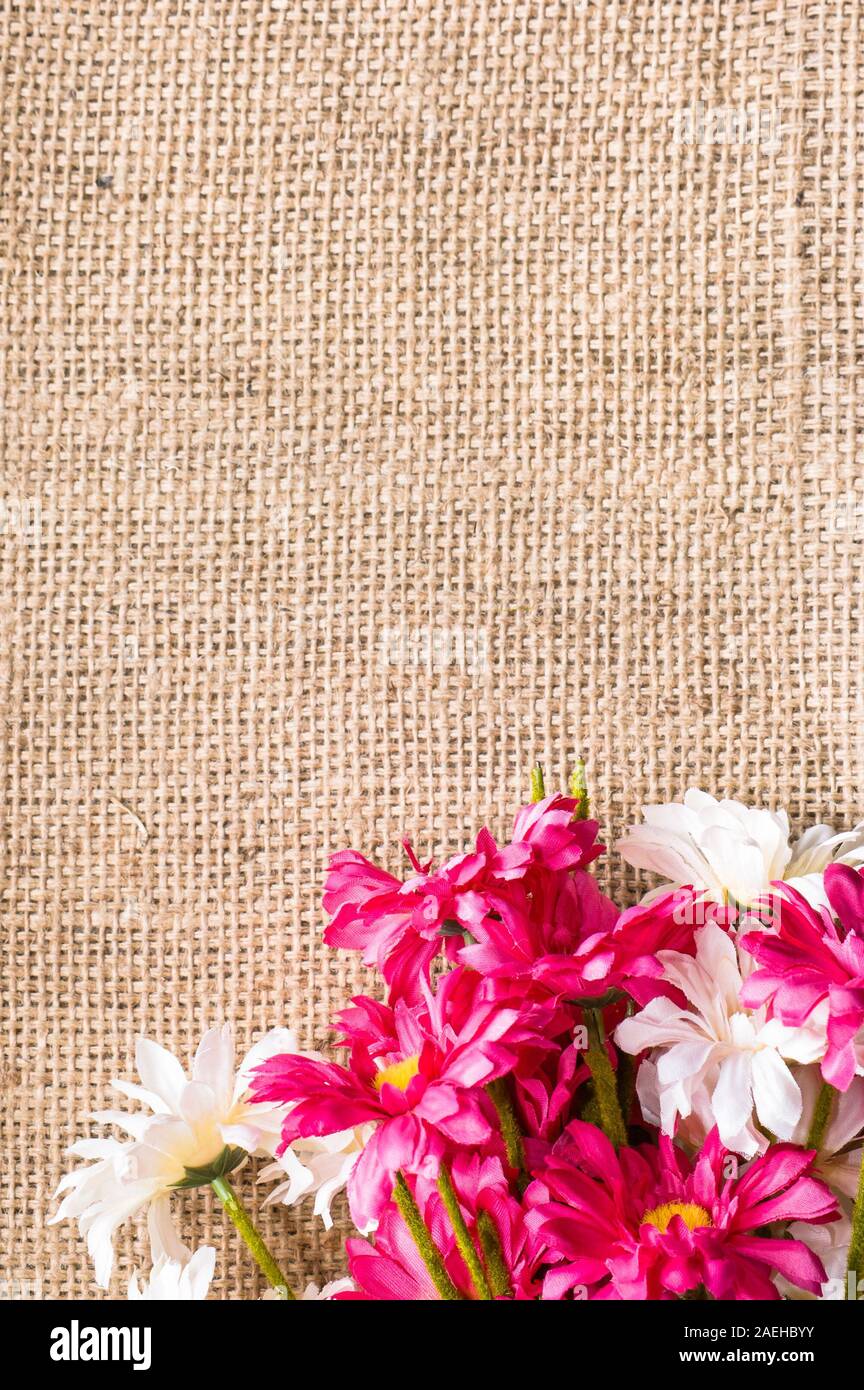 Bouquet of gerbera daisy flowers, spring background for mothers day