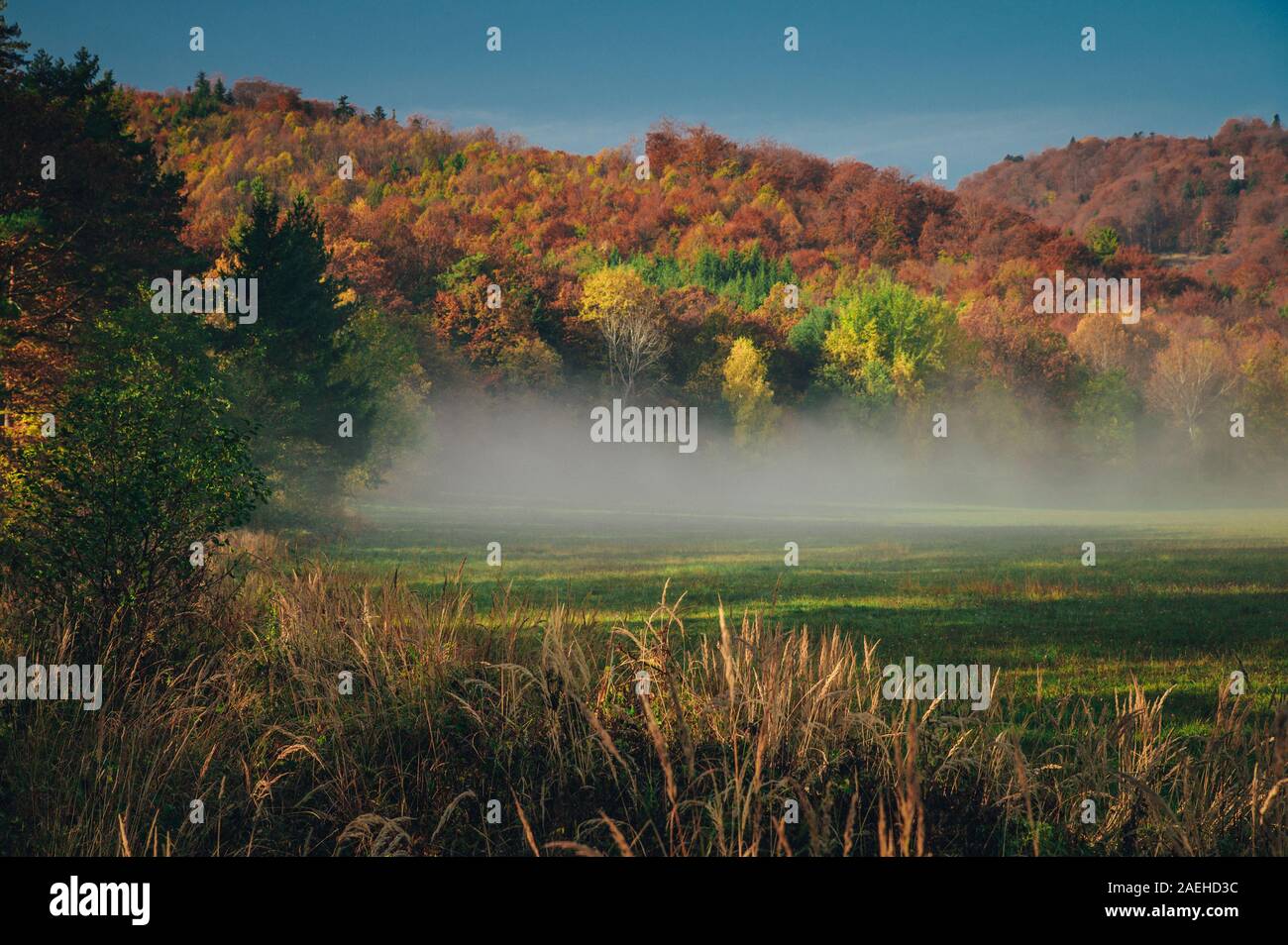Peaceful autumn morning scenery by Carpathian forest Stock Photo