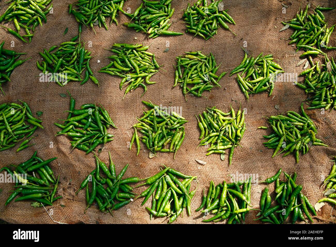 small groups of green chillies Stock Photo