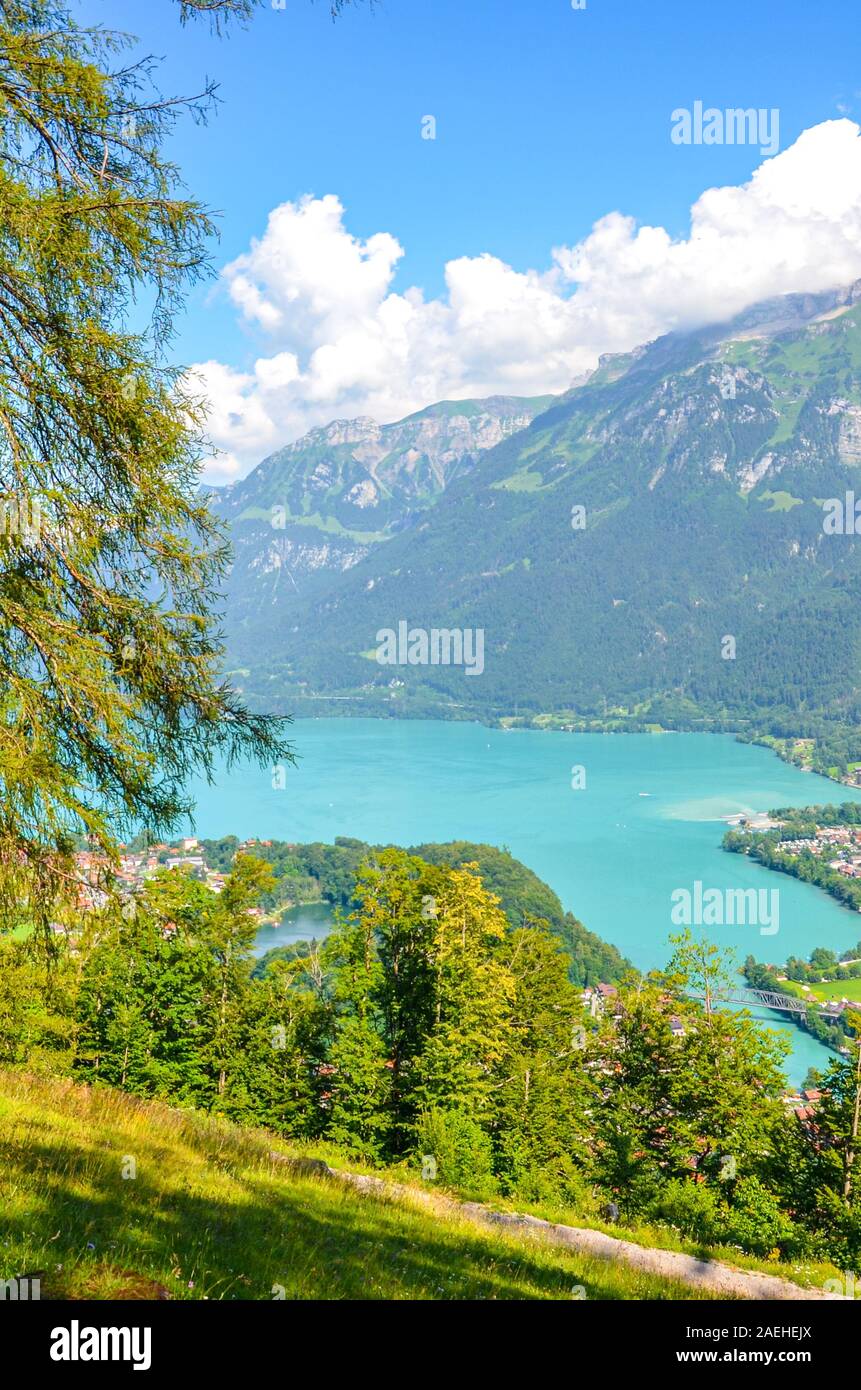 Turquoise Lake Brienz in Interlaken, Switzerland photographed from the hiking path to Harder Kulm. Amazing Swiss landscape. Green hills and Alpine lake in the valley. Summer Alpine landscapes. Stock Photo