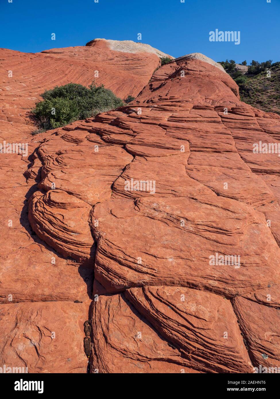 Cross-bedded sandstone, Lava Flow Trail, Snow Canyon State Park, Saint George, Utah. Stock Photo