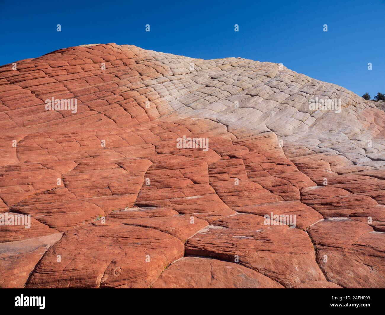 Cross-bedded sandstone, Lava Flow Trail, Snow Canyon State Park, Saint George, Utah. Stock Photo