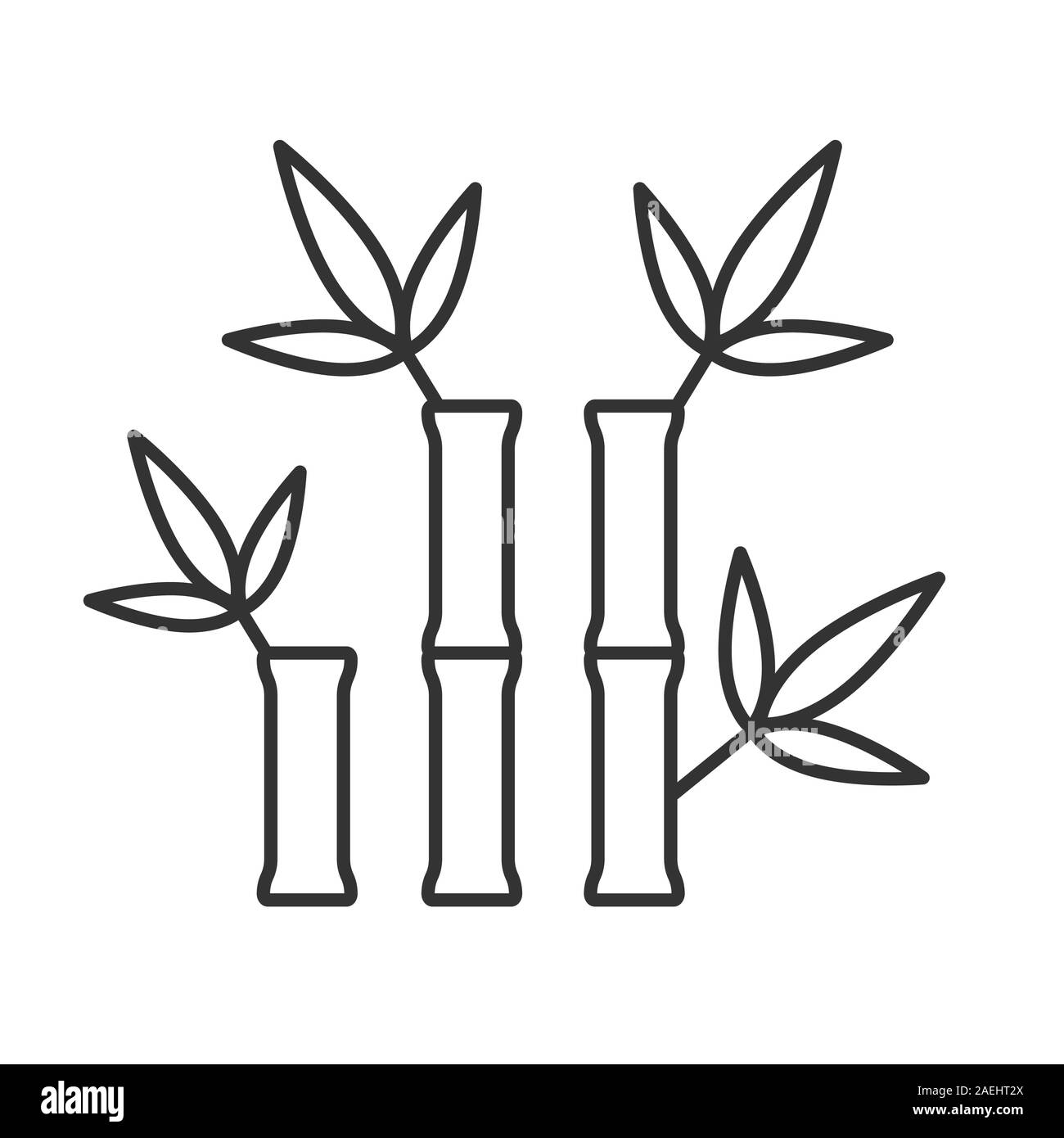 Bamboo Stick Drawing