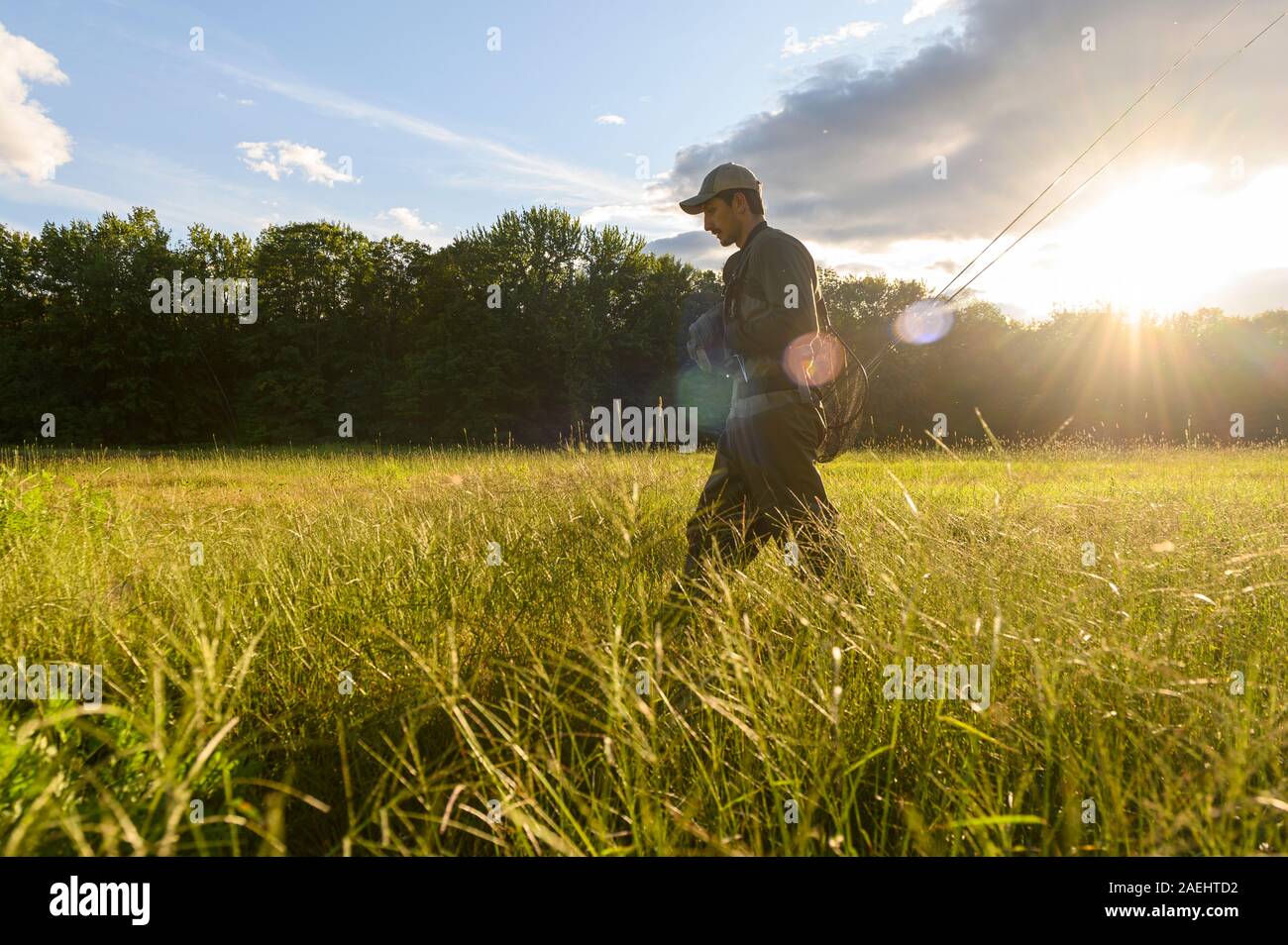 A fly fisherman walking in a green field on a summer day. Stock Photo