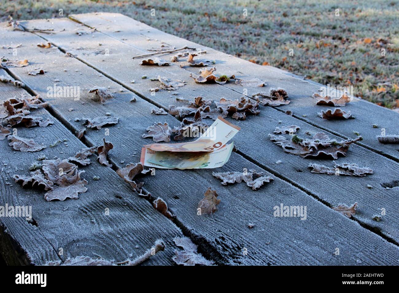 Money on a wooden table covered with leaves and hoarfrost, concept of cold emotionless financial business Stock Photo