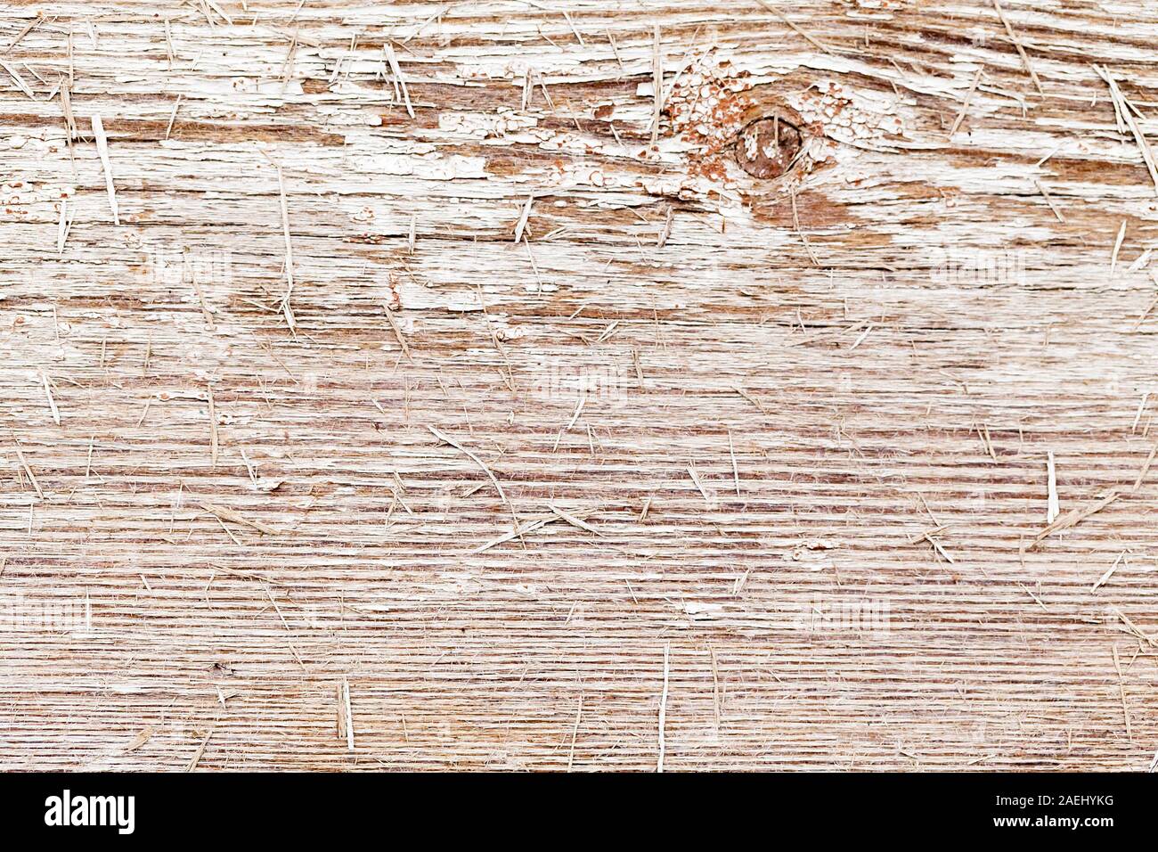 Rough wooden wall with peeled white paint layer, close-up background ...