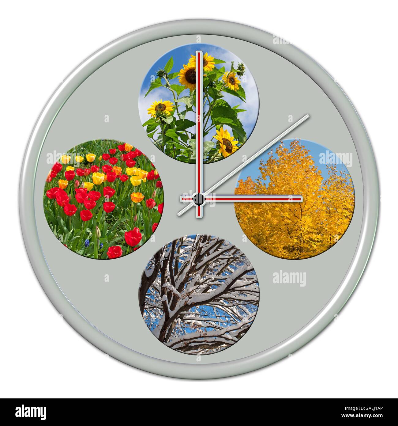 Four seasons on a clock as a collage Stock Photo