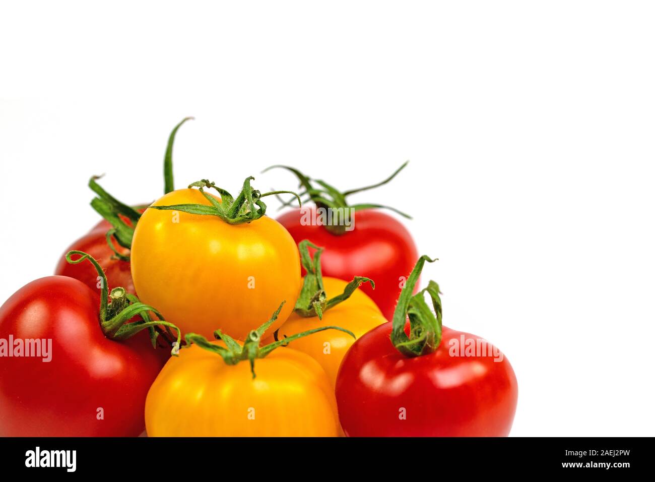 Red and yellow tomatoes in front of white background Stock Photo - Alamy