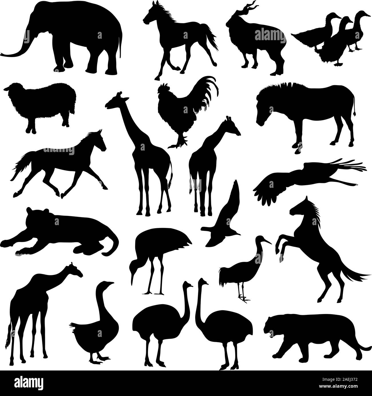 Black Set Silhouettes Zoo Animals Collection On White Background