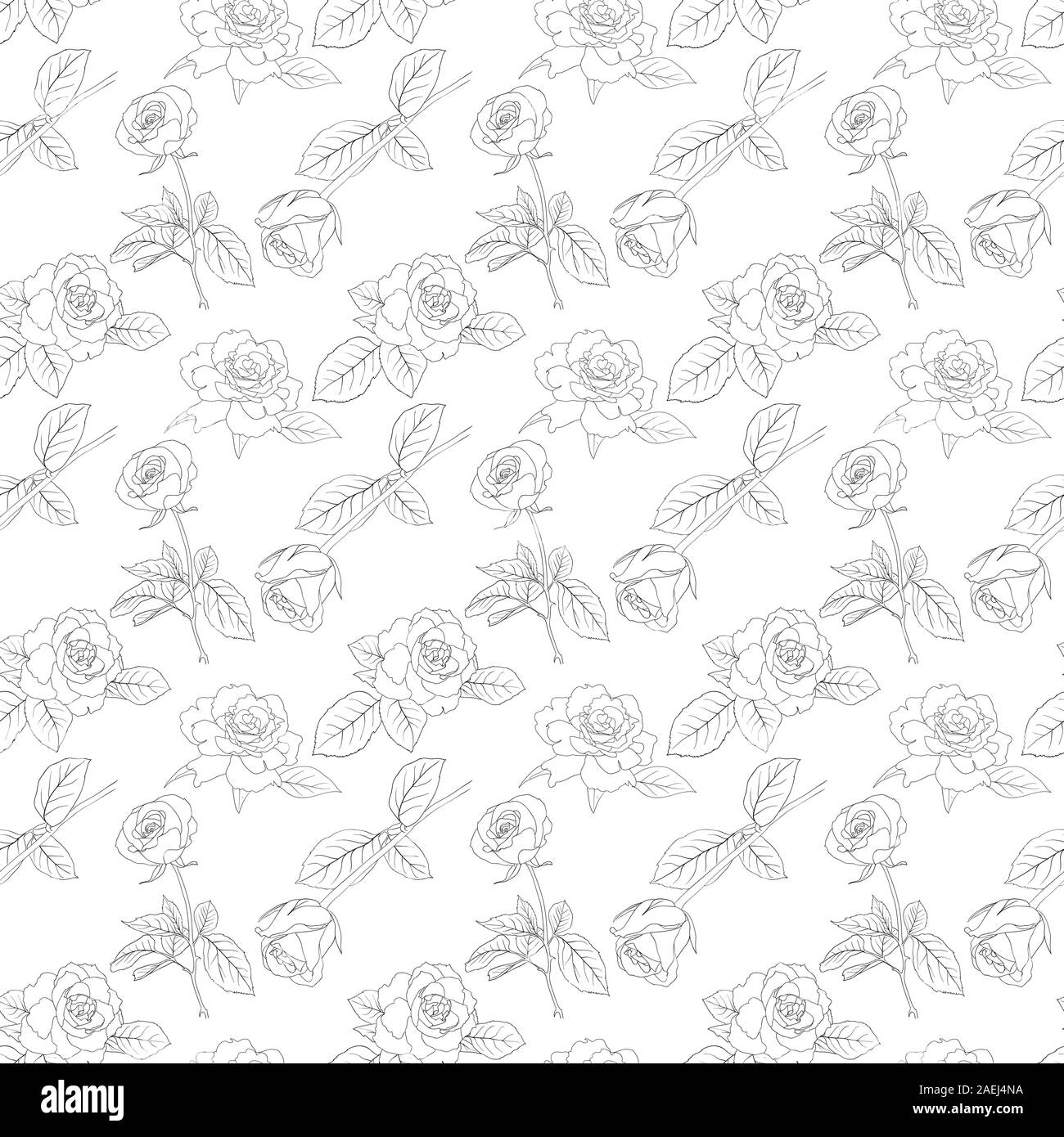 Seamless wallpaper with rose flowers Stock Vector Image & Art - Alamy