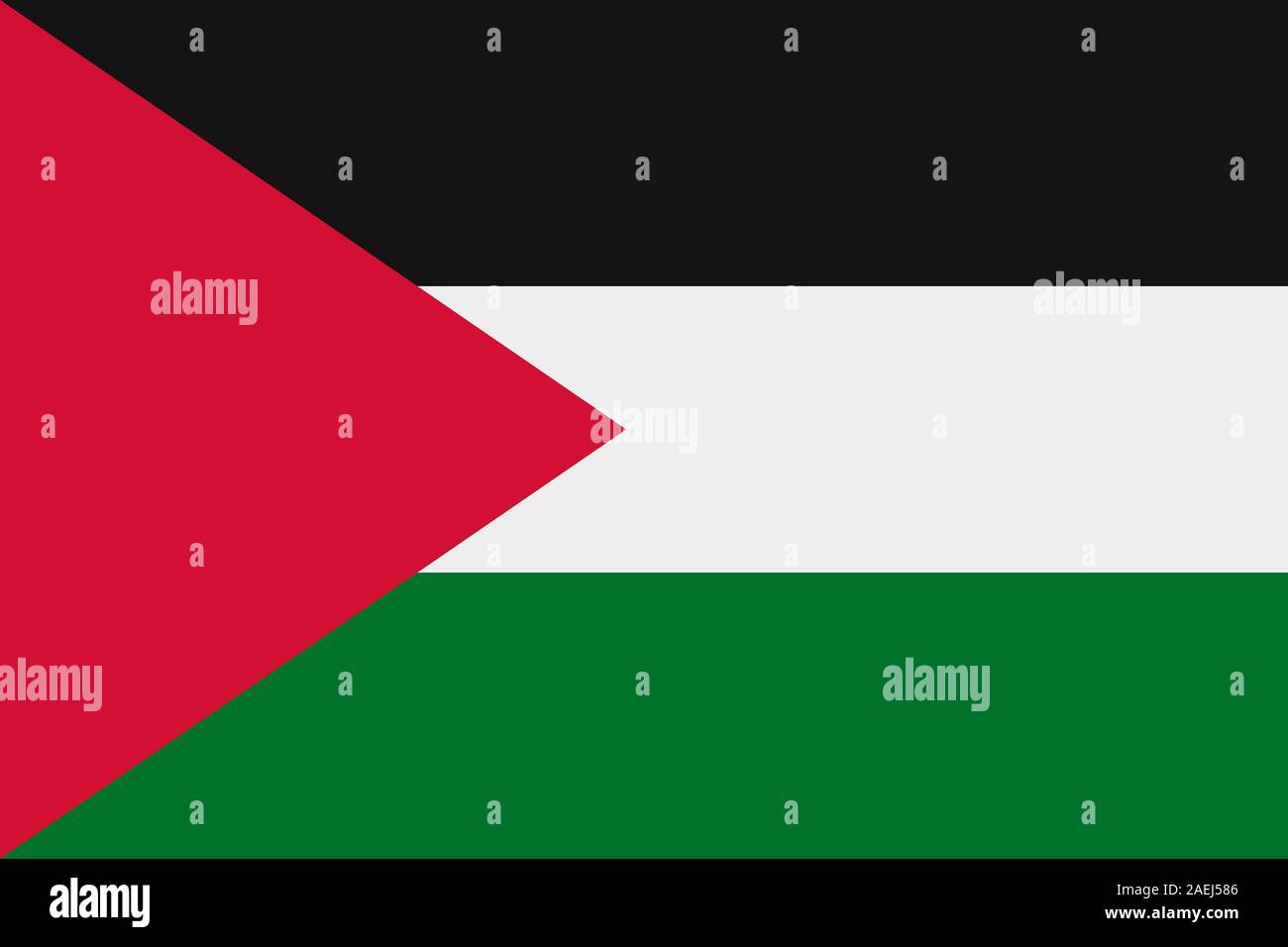 Vector Country Flag of the State of Palestine - Square