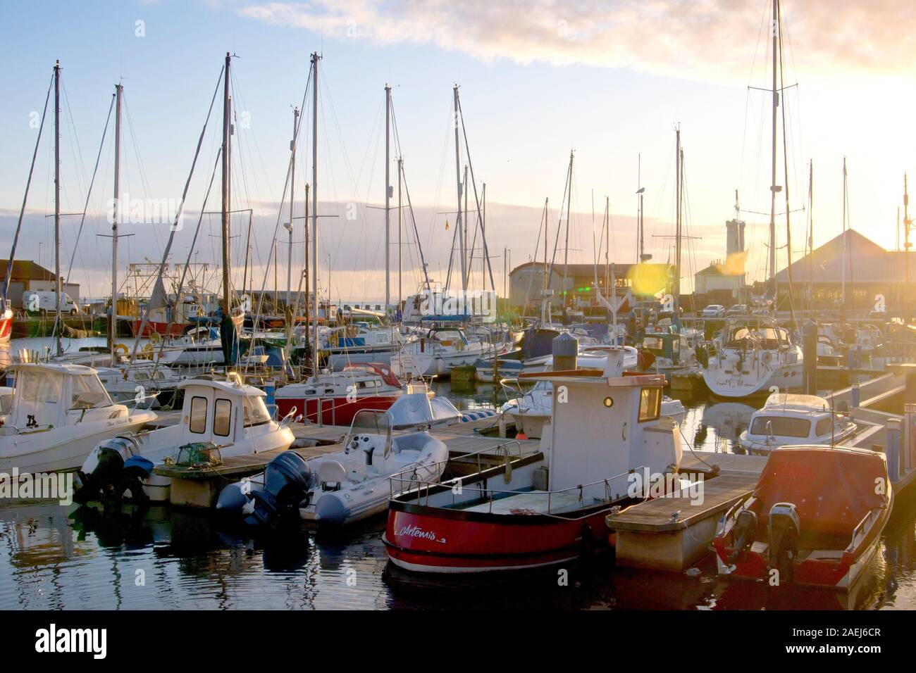 The marina at Arbroath harbour, filled with yachts and pleasure craft, lit by the warm directional light of a low sun at the end of the day. Stock Photo