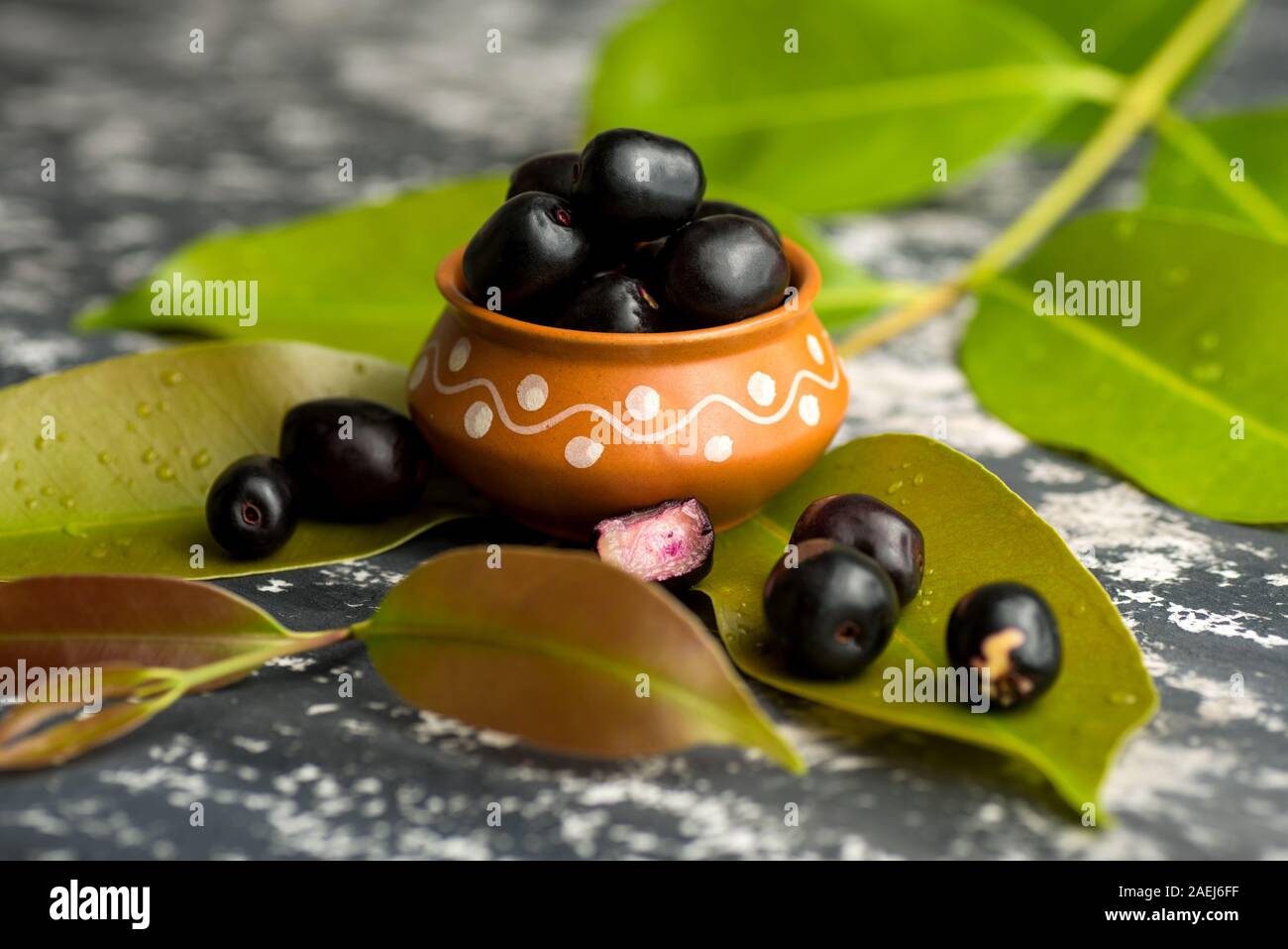 Jambolan plum or jambul or Jamun fruit, Java plum (Syzygium cumini ...
