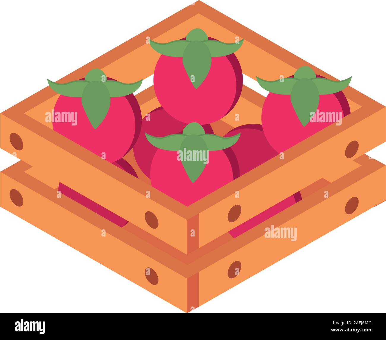farm tomatoes in box harvest agriculture isometric icon vector ...