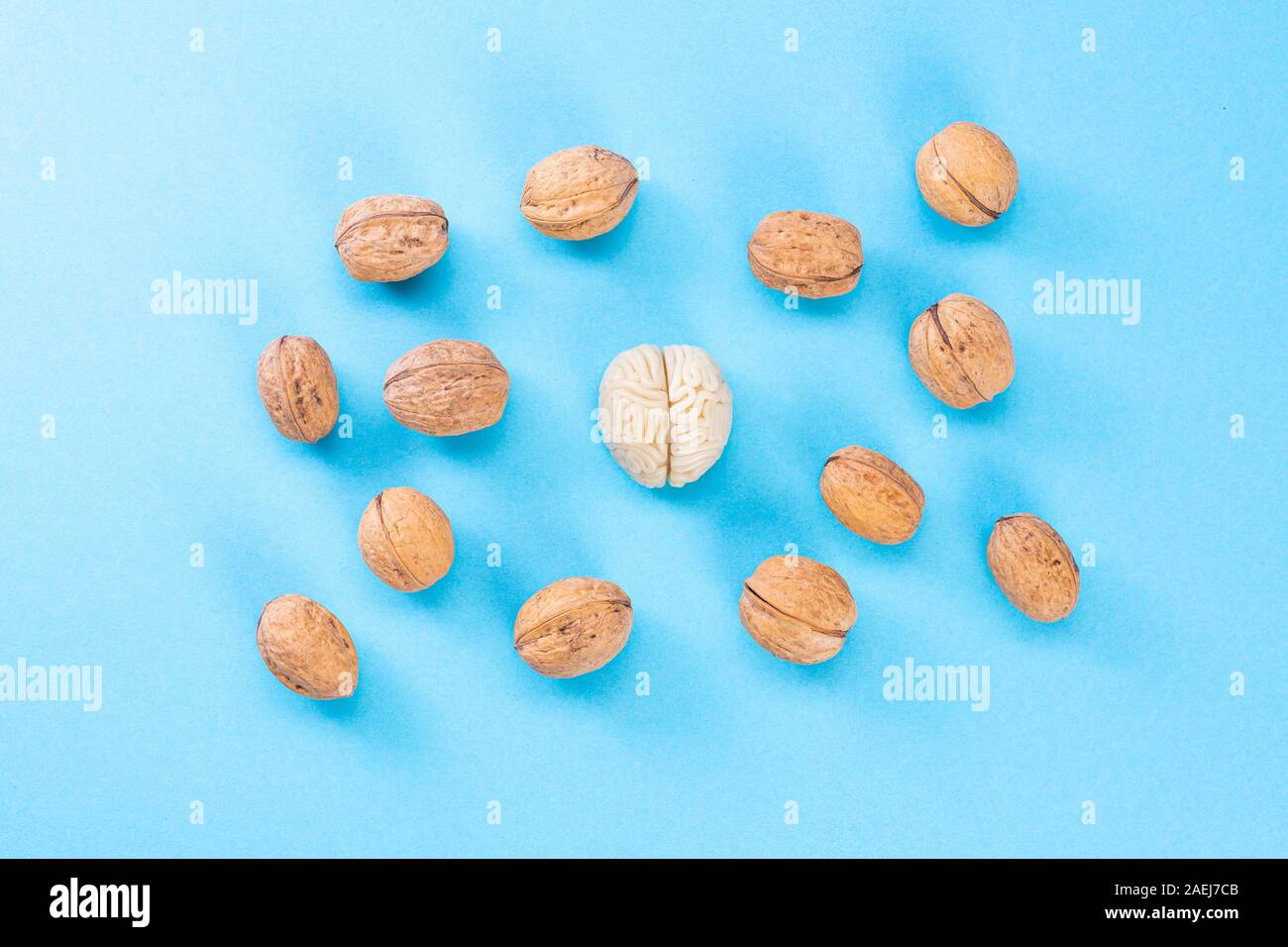 The shape of the human brain is surrounded by walnut kernels. This symbolizes the similarity of the brain with walnuts and the proven effectiveness as Stock Photo