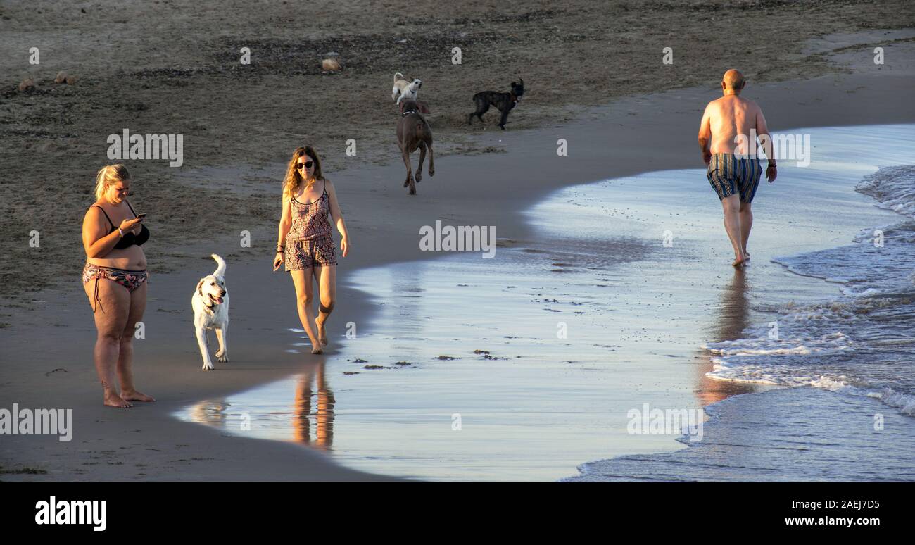Murcia, Spain, August, 20, 2019: People at a pet-friendly beach enjoying the last sunlight at the seashore during summertime. Stock Photo