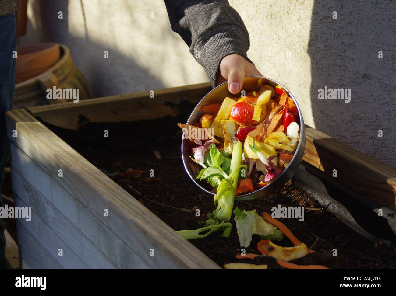 Ecology compost supply - kitchen waste recycling in backyard composter. Environmentally friendly lifestyle. The man throws leftover vegetables from th Stock Photo