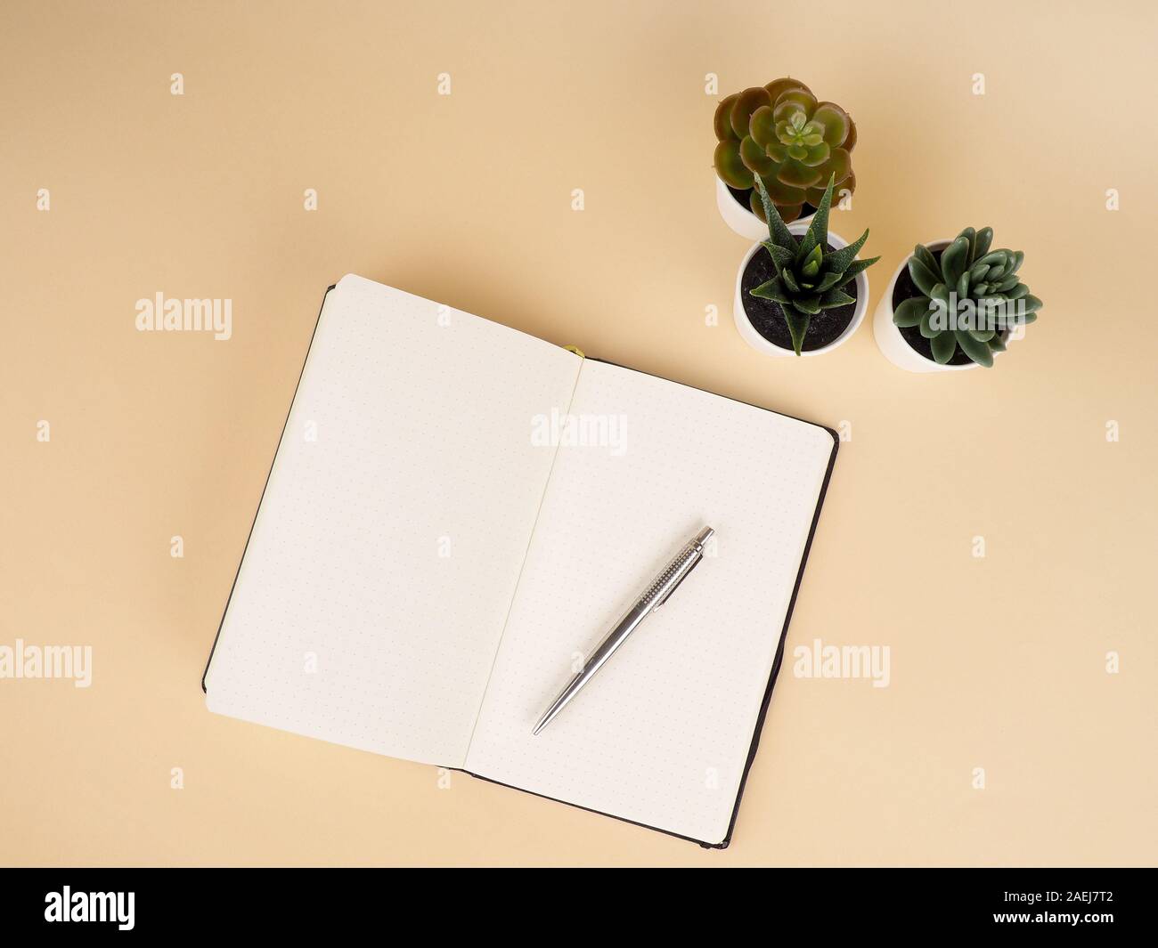 Workspace notebook, cactus plant on table. cactus and diary notebook book with pencil on beige Stock Photo