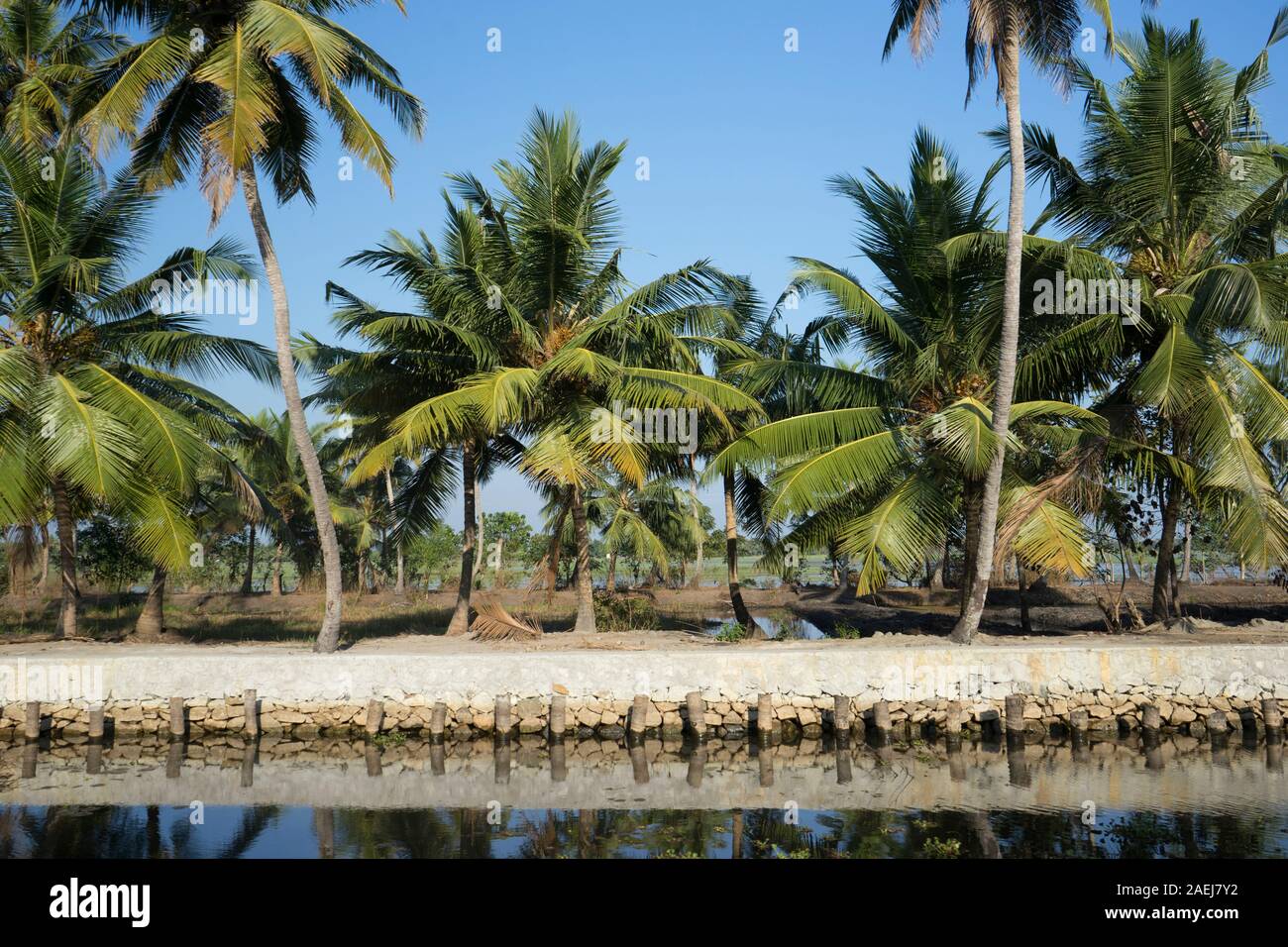 Keralan Backwaters, India Stock Photo