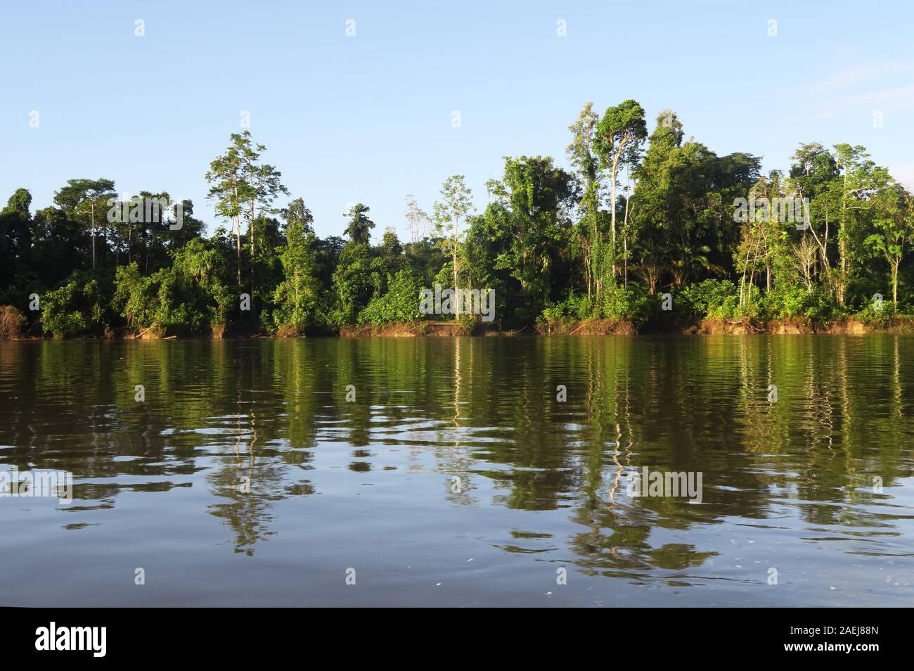 Fly river papua new guinea hi-res stock photography and images - Alamy