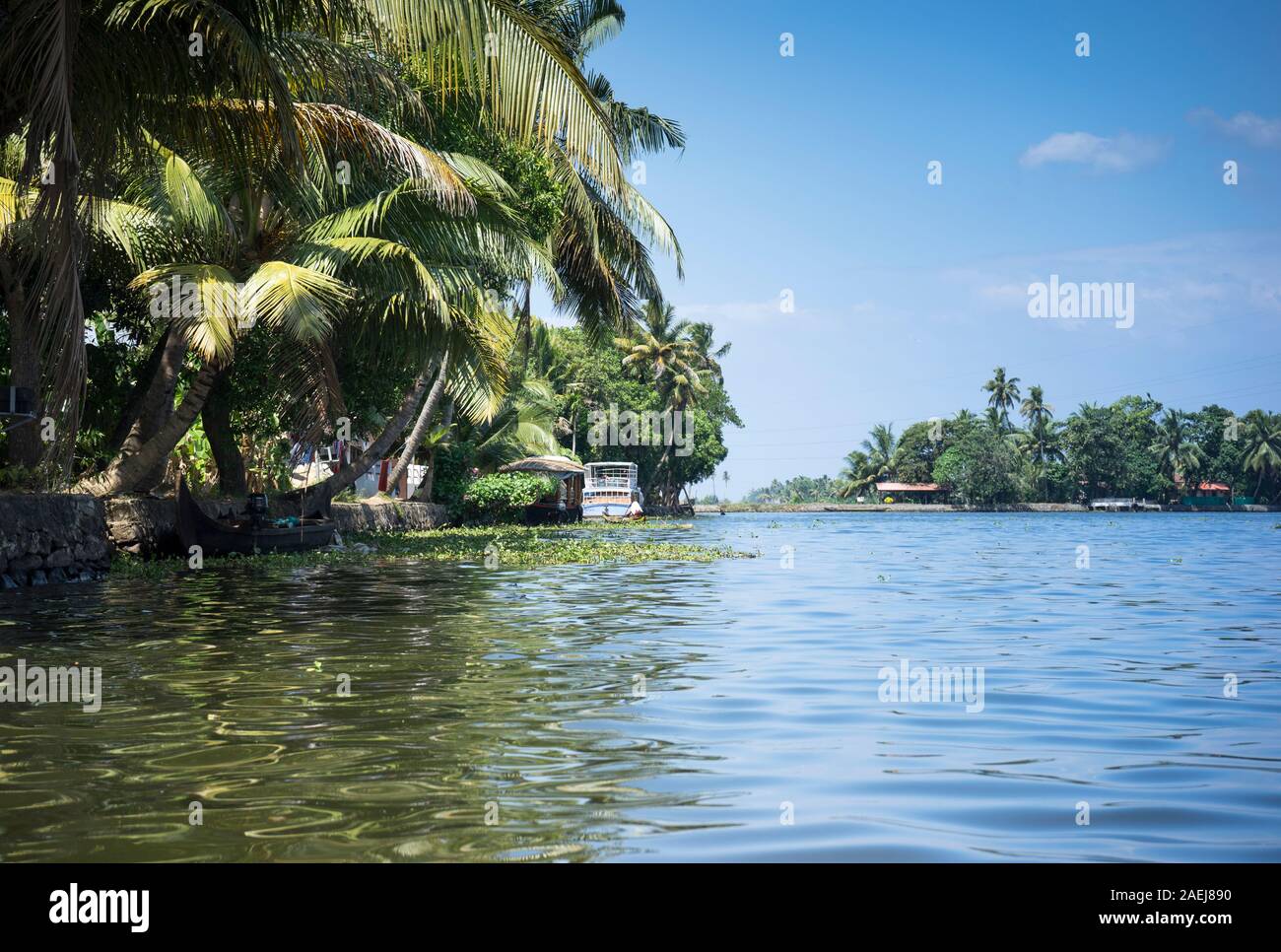View of the Alleppey Backwaters, Kerala, India Stock Photo