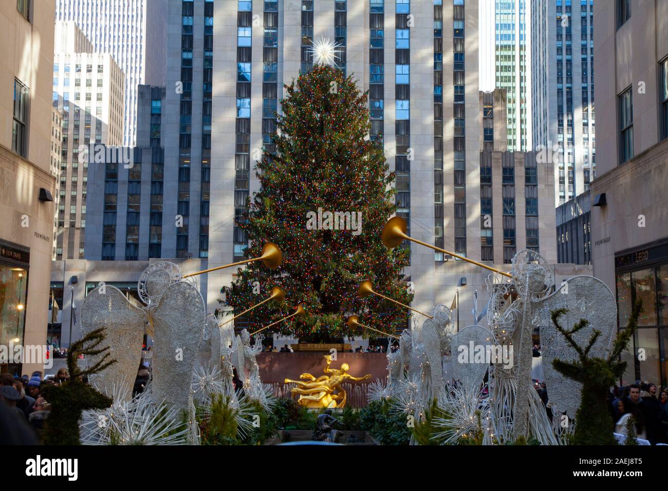 The Rockefeller Center Christmas Tree in Manhattan, New York City, 2019