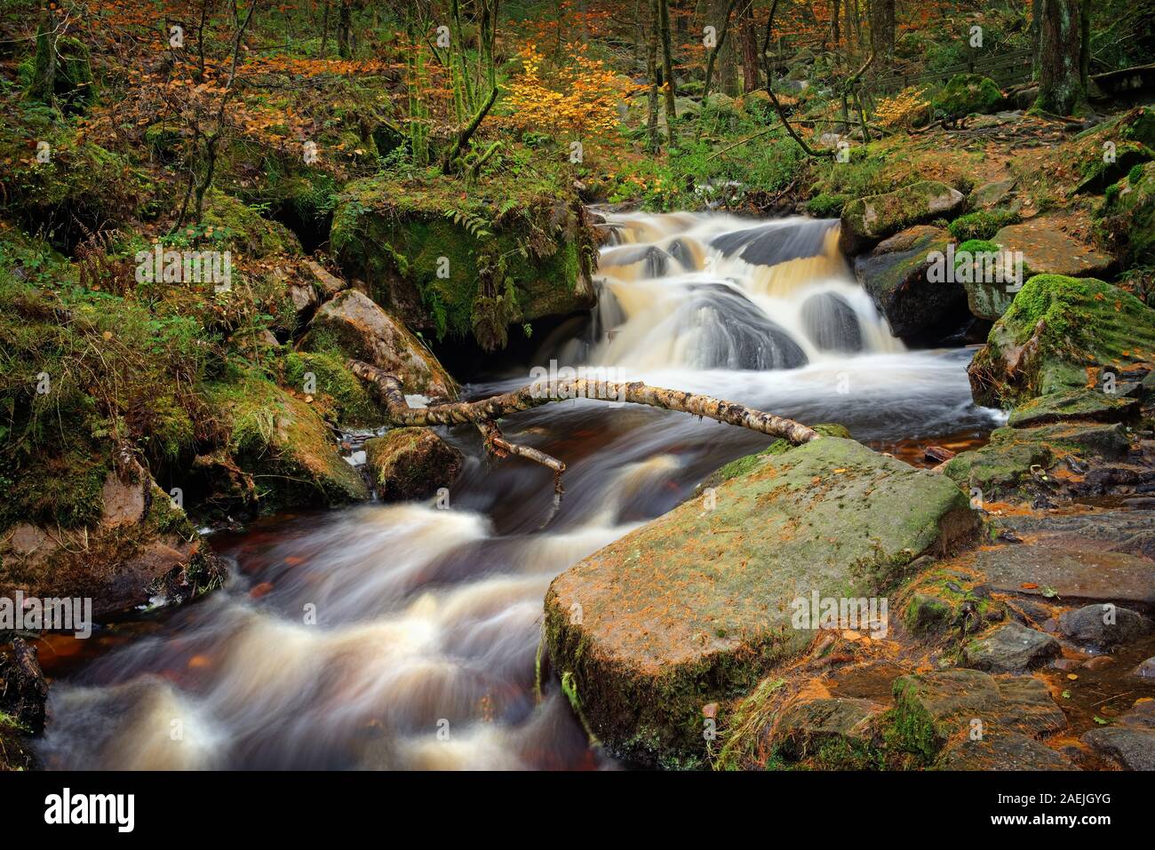 Wyming Brook Waterfalls Hi res Stock Photography And Images Alamy wyming-brook-waterfalls-hi-res-stock-photography-and-images-alamy