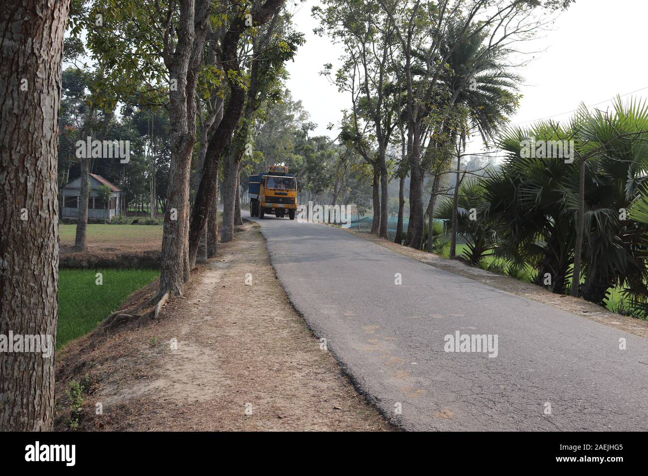Village street Stock Photo