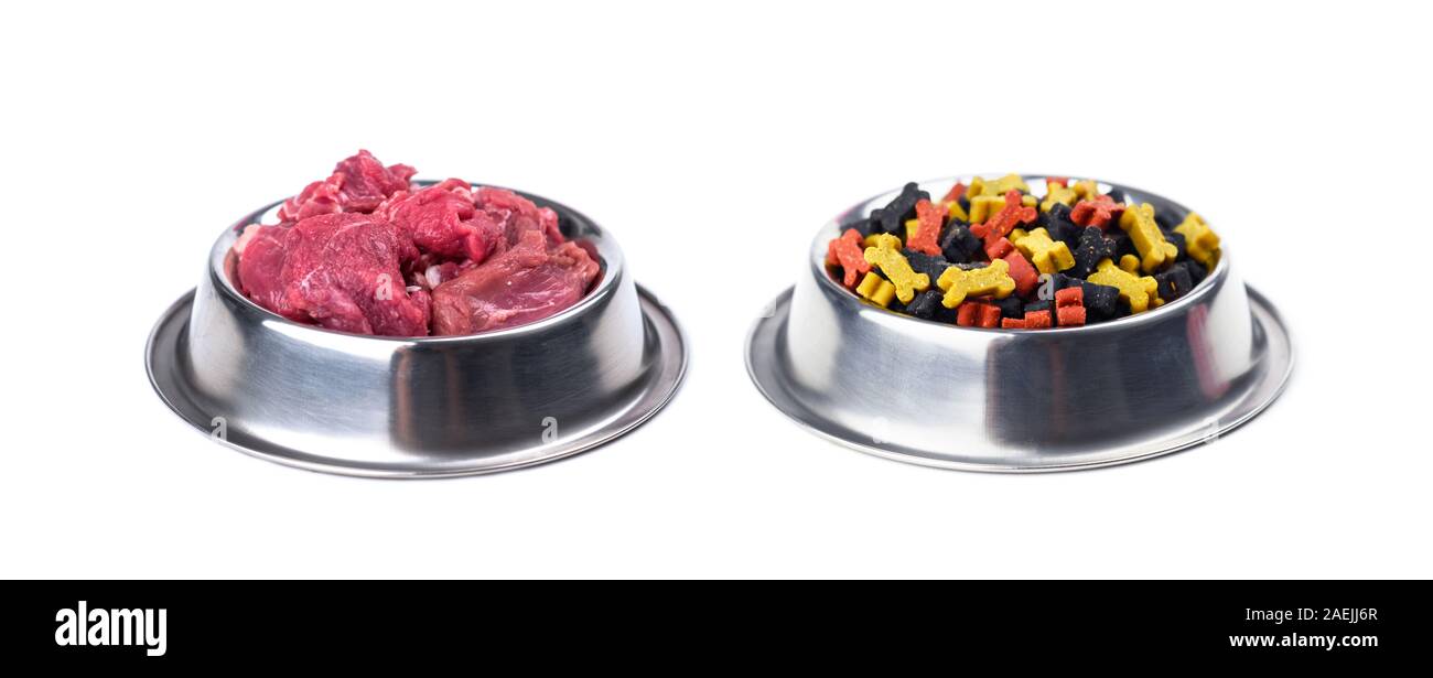 Different dogs food in metal plates isolated on white background. Dog