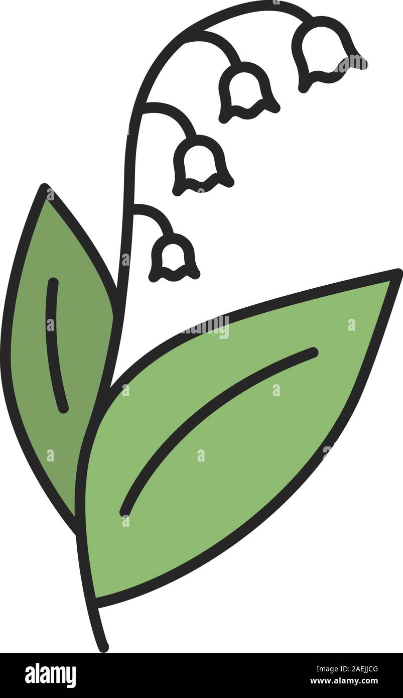 Lily of the valley color icon. Maylily flower. Isolated vector