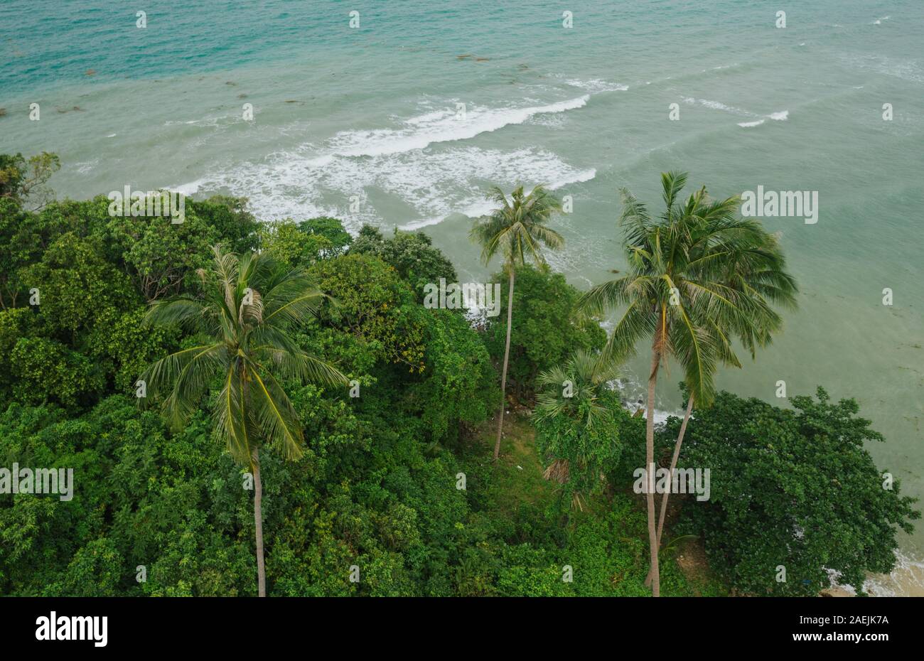 Palm trees 4k hi-res stock photography and images - Alamy