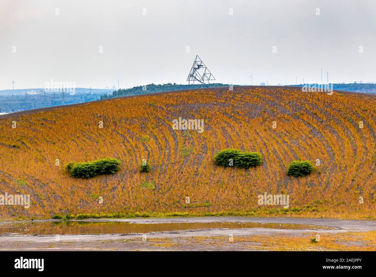 Form In Der Natur Stock Photos Form In Der Natur Stock Images