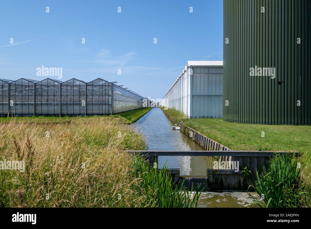 Commercial glass greenhouse in Westland, the Netherlands. Westland is a region in the western part of the country. High tech production facilities for Stock Photo