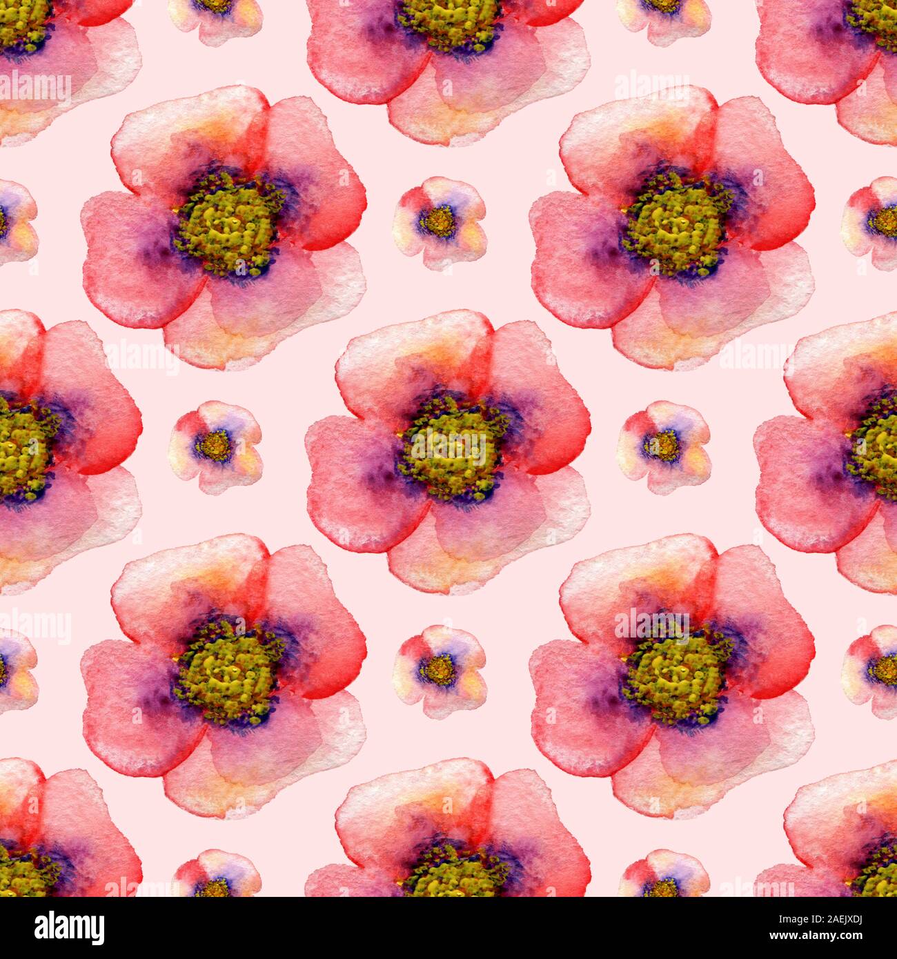 Seamless pattern with watercolor poppies on white background. Hand ...