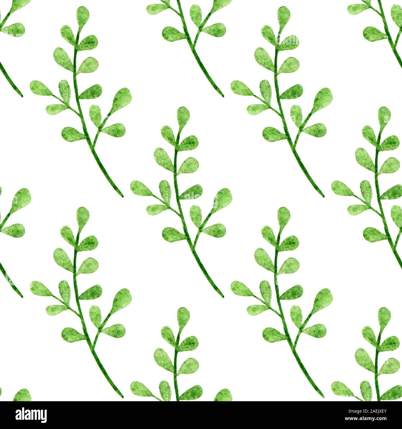Seamless pattern with watercolor branches on a white background. Hand ...