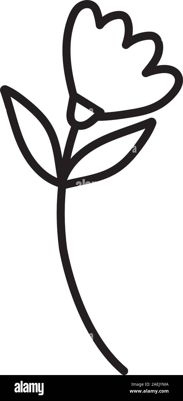 flower stem leaves petals nature decoration icon vector