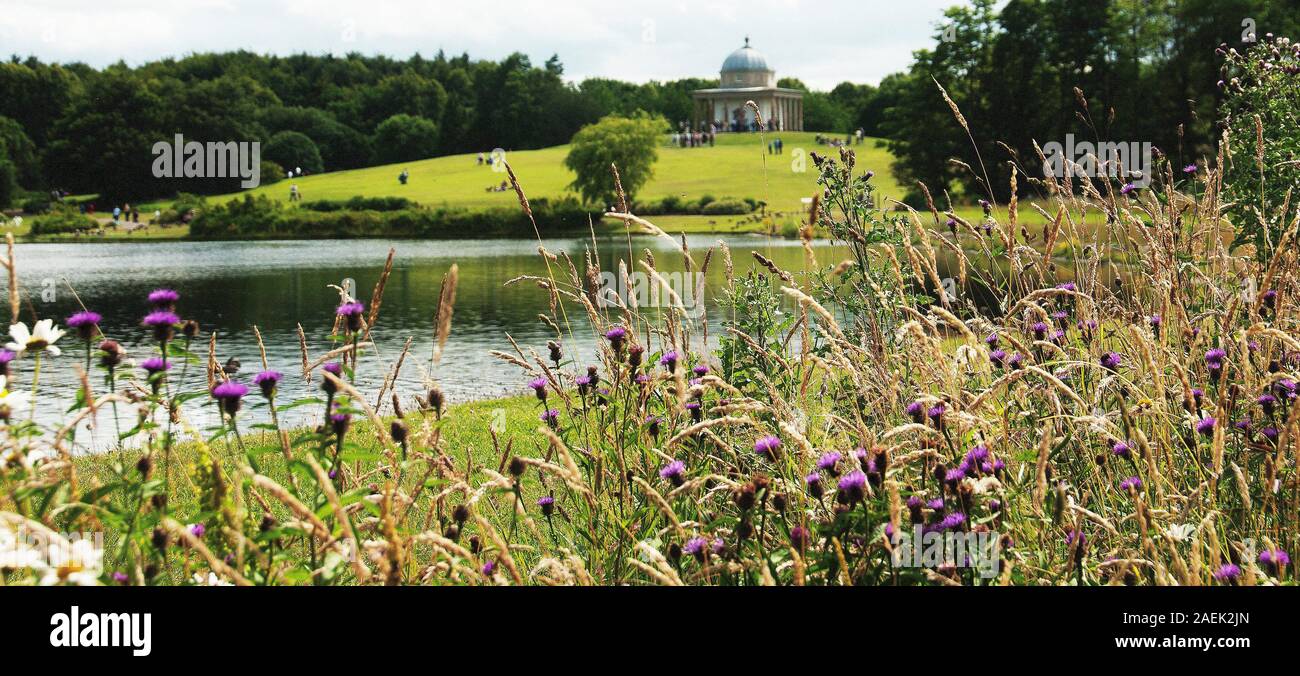 wildflowers by the lake in Hardwick Hall Country Park on the Register of Parks and Gardens as a II* site, since the park is 'of exceptional historic i Stock Photo