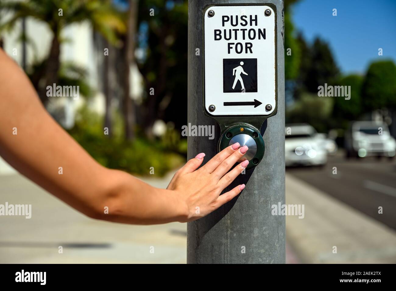 Push button to cross with sign, hand. Pedestrian crossing crosswalk. Female  pushing a button to stop car traffic in an intersection Stock Photo - Alamy