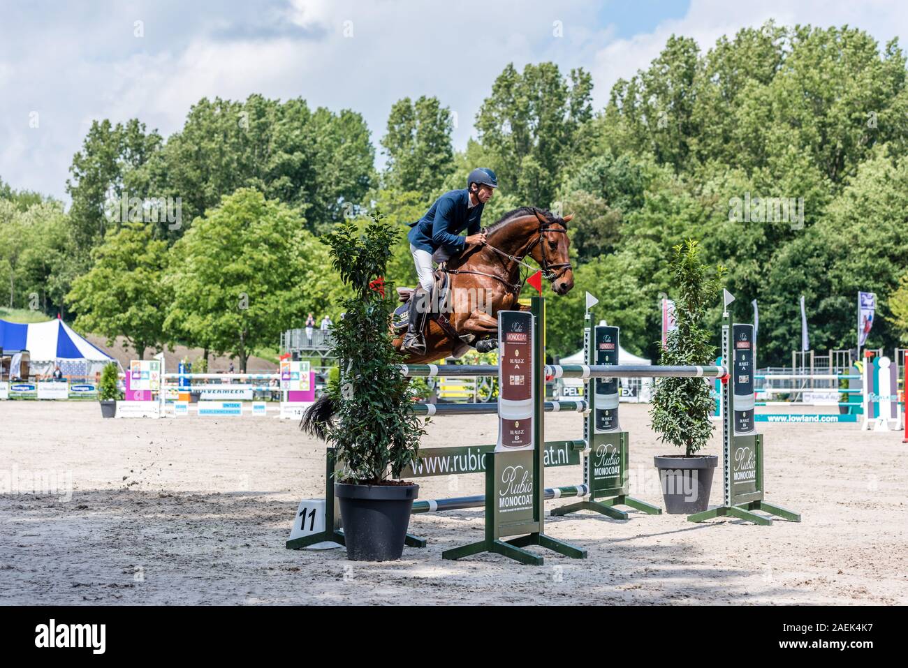 Haarlemmermeer Holland June 19 2019 concours hippique horseback jumping Stock Photo