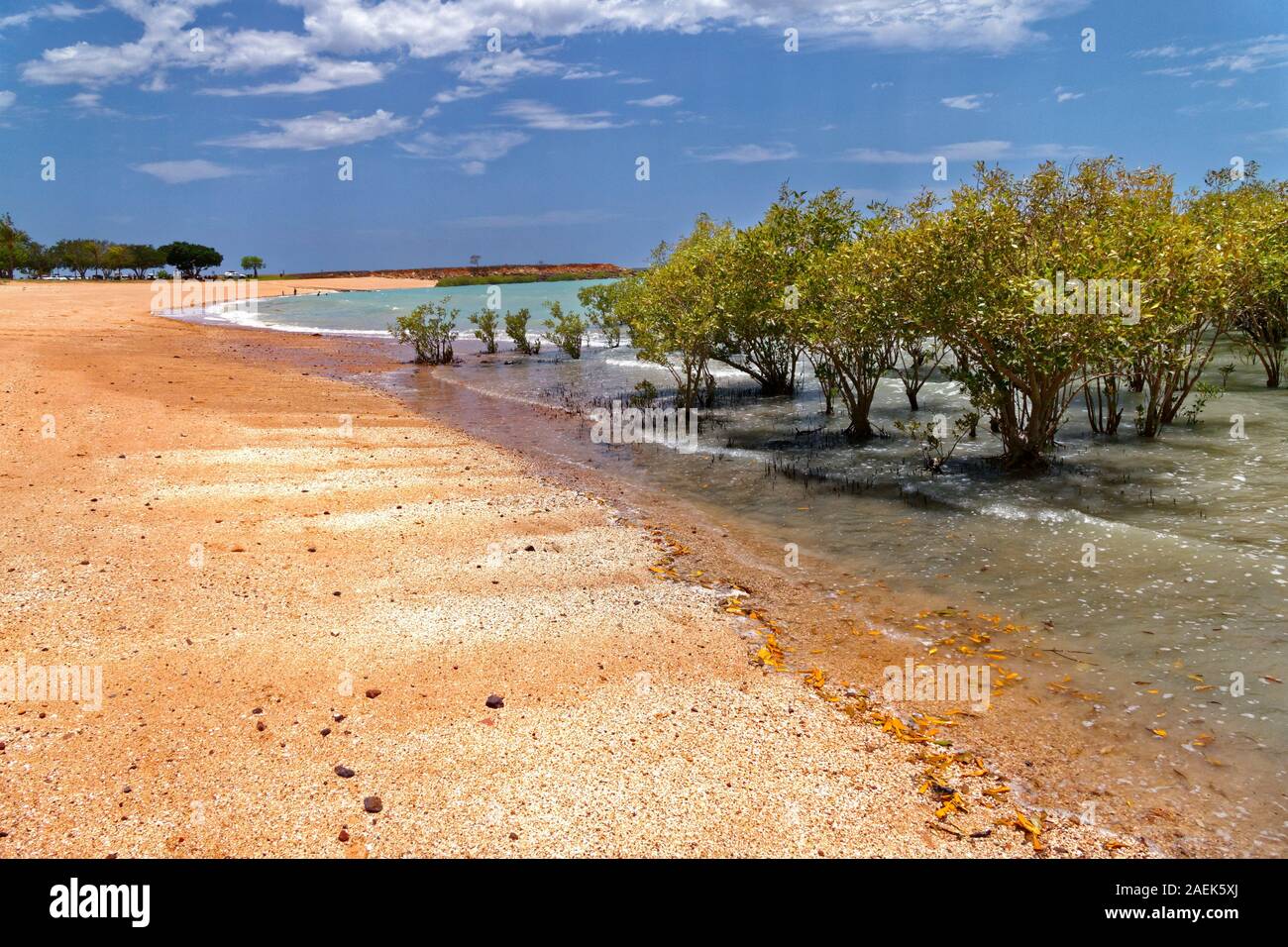 Red Sandy Beach With Mangrove Trees Broome West Kimberley Western Australia Stock Photo Alamy