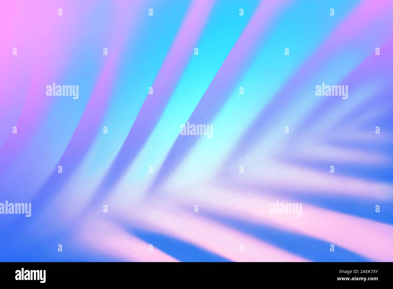 Split blank pink and blue vibrant dutone background Stock Photo