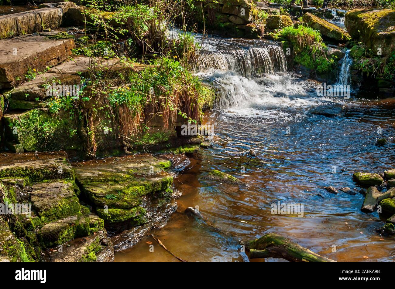 Old weir in the Rivelin Valley, near Sheffield Stock Photo
