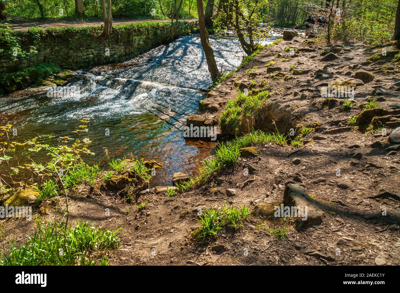Old weir for a mill in the Rivelin Valley, near Sheffield Stock Photo