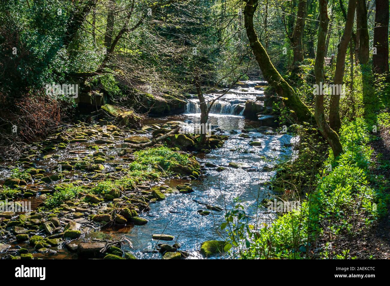 Fast-flowing water in the Rivelin Valley, near Sheffield Stock Photo