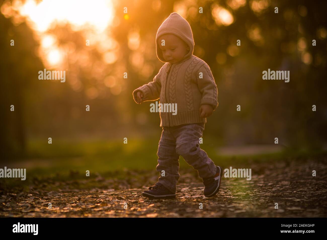 Toddler walking, autumn, sunset Stock Photo