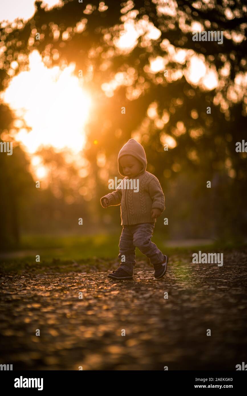 Toddler walking, autumn, sunset Stock Photo