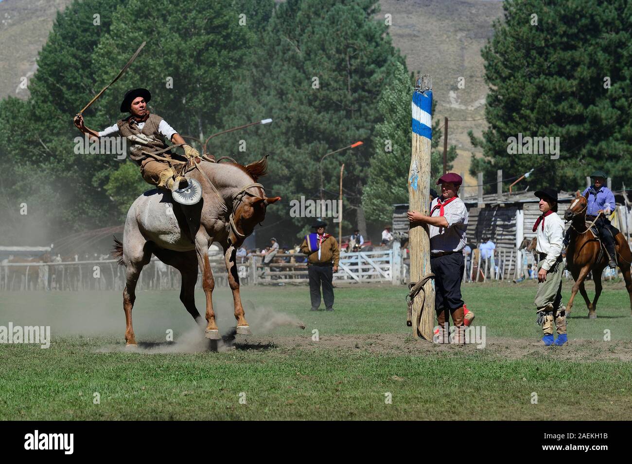 Rider on a bucking horse at the Rodeo, Fiesta Nacional del Puestero, Junin de los Andes, Province Neuquen, Argentina Stock Photo