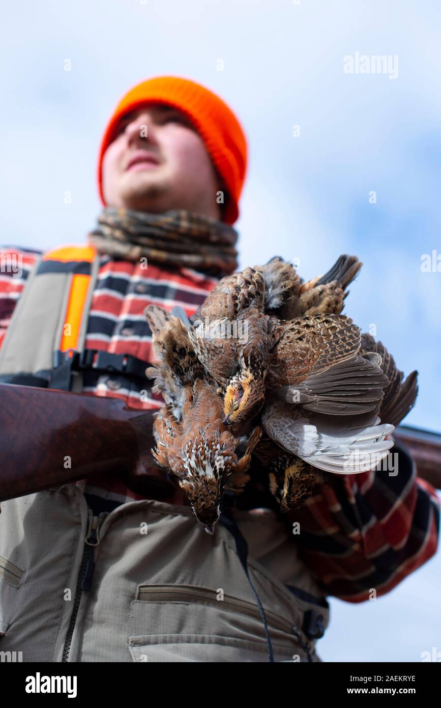 A young Hunter in Kansas with Bobwhite Quail Stock Photo Alamy