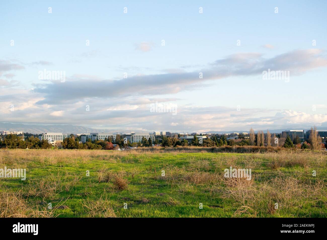 View of Sunnyvale, Silicon Valley from the San Francisco Bay Trail showing office blocks with mountains on the horizon Stock Photo