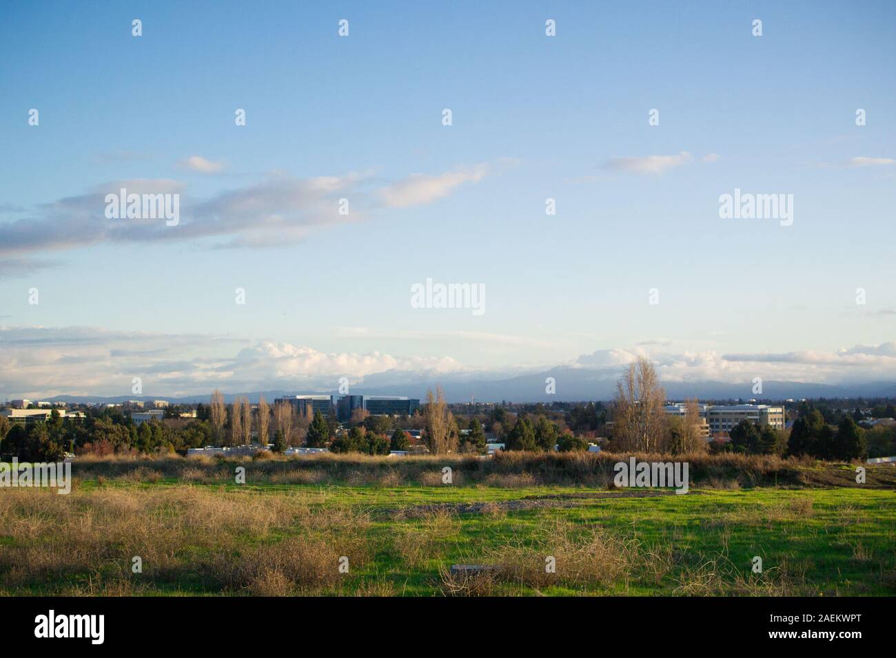 View of Sunnyvale, Silicon Valley from the San Francisco Bay Trail showing office blocks with mountains on the horizon Stock Photo